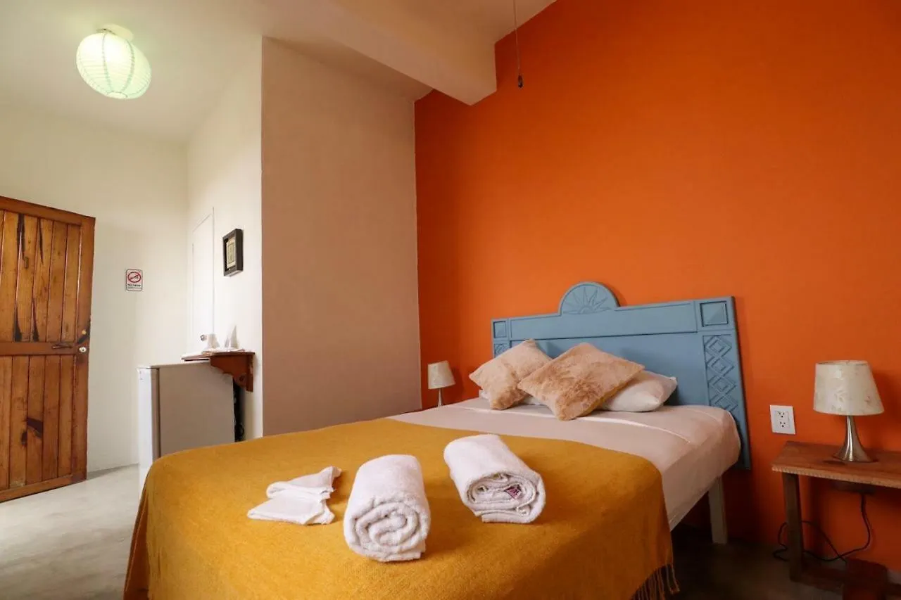 Wabi Hostel Playa del Carmen Meksyk